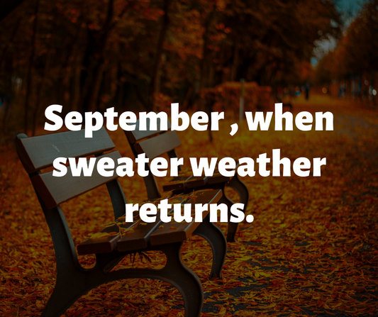 Fall begins at Sweet Yarns