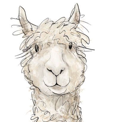 Our final "Alpaca My..." kits