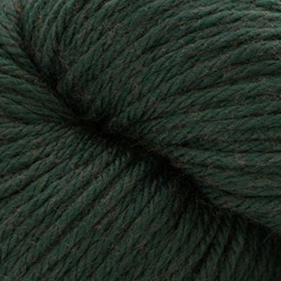 Cascade 220 Superwash Aran